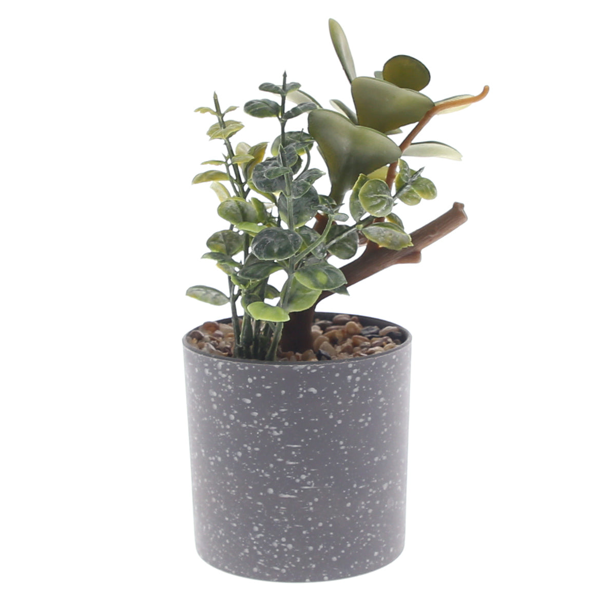 Table Plant D # 2 Green – Grey Speckled Pot