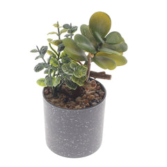 Table Plant D # 2 Green – Grey Speckled Pot