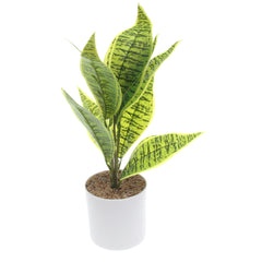 Table Plant D # 3 Green – White Pot – 830933