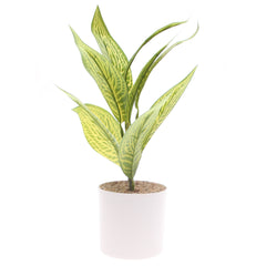 Table Plant D # 4 Green – White Pot – 830933