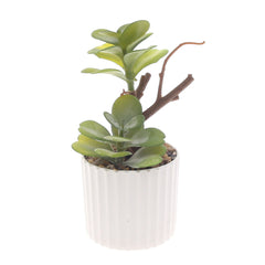 Table Plant D # 5 Green – Ribbed White Pot – 2473134