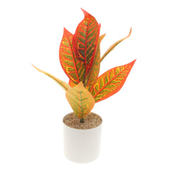 Table Plant D # 5 Orange – Decorative Pot – 830933