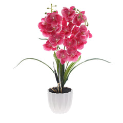 Table Plant – Orchid Bloom – Pink – 2025471