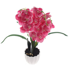 Table Plant – Orchid Bloom – Pink – 2025471