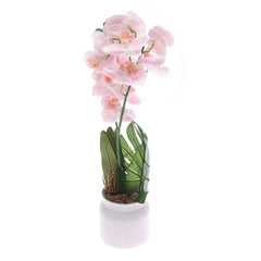 Table Plant – Orchid Cascade – White & Pink – 2025624