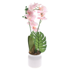 Table Plant – Orchid Cascade – White & Pink – 2025624