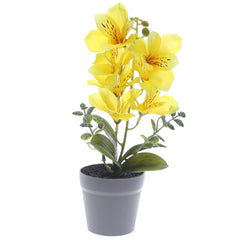 Table Plant – Lily Arrangement – Yellow – 2025366