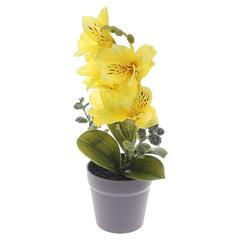 Table Plant – Lily Arrangement – Yellow – 2025366