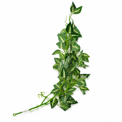 Artificial Coleus Leaf Green & White Filler – Decorative Hanging Greenery