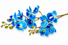 Mini Orchid Flower Stick – Blue
