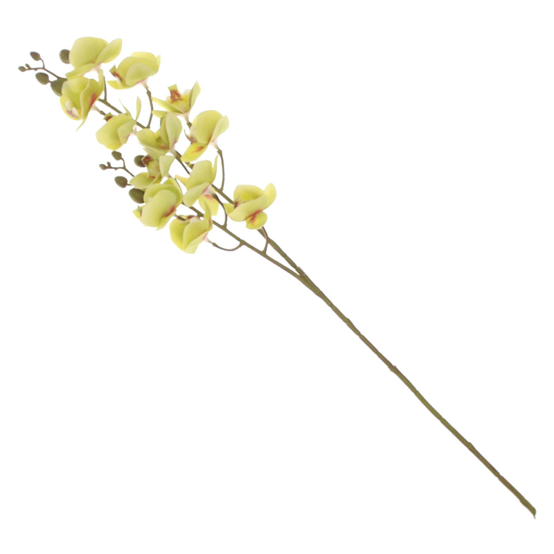 Mini Orchid Flower Stick – Green (Artificial Stem) - Habitt