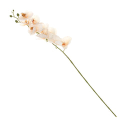 Orchid Flower Stick – White (Artificial Stem)