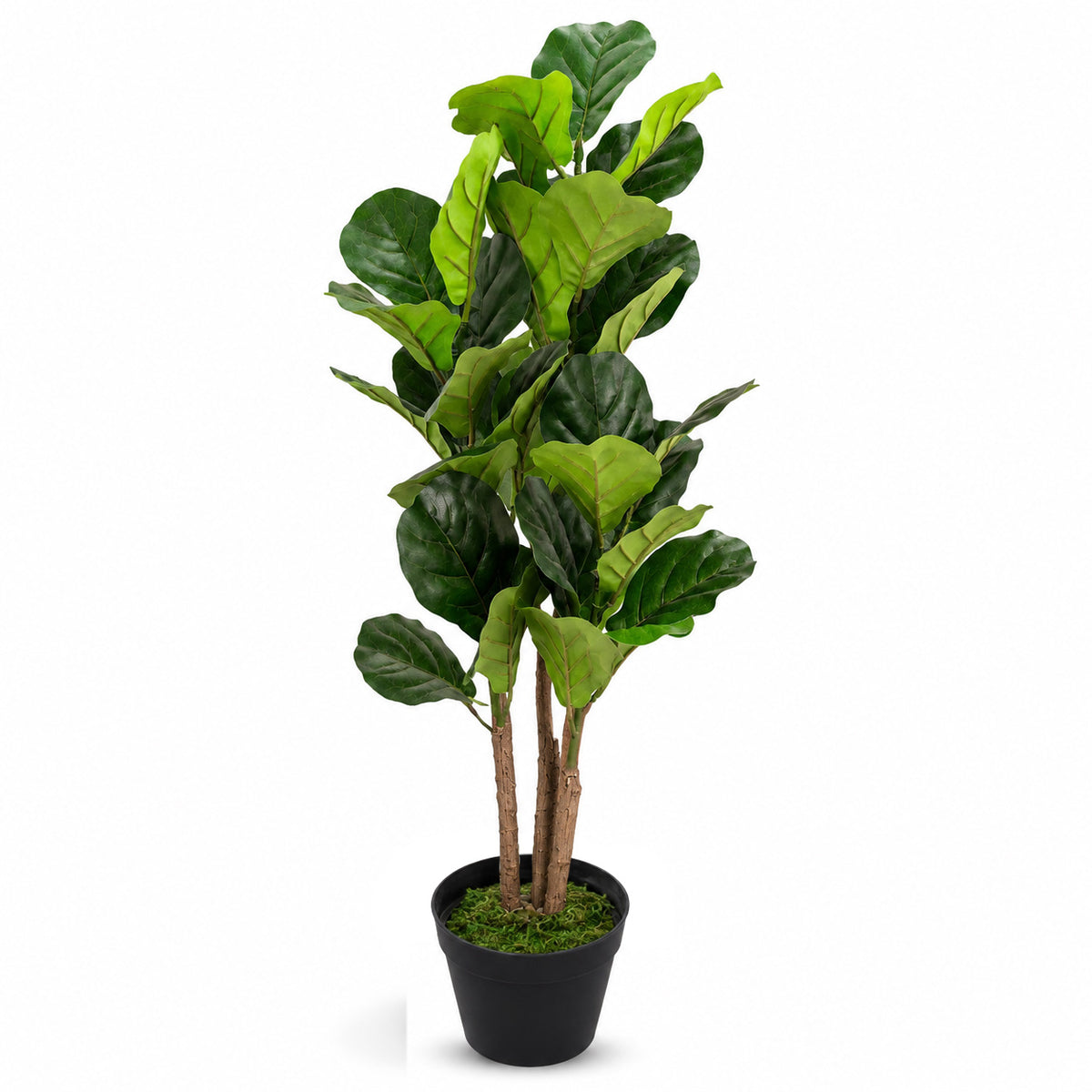 Artificial Fiddle Leaf Plant – Small