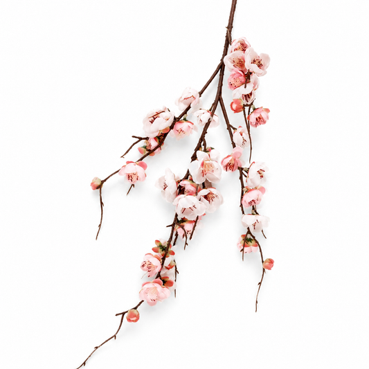 Cherry Blossom White & Pink Flower Stem