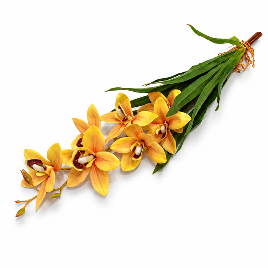 Cymbidium Orchid Yellow Bunch