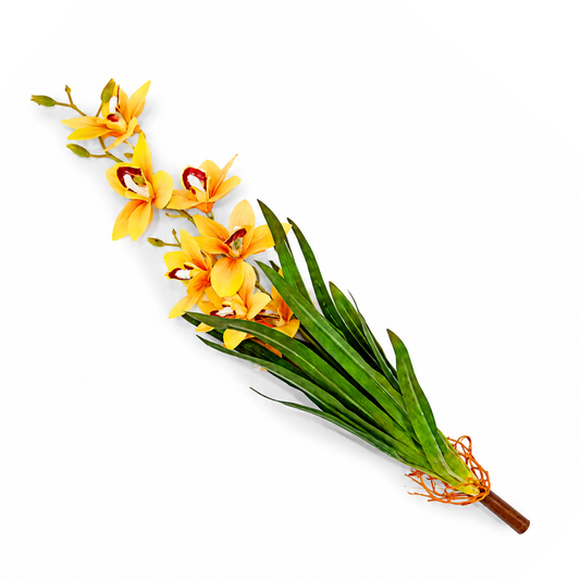 Cymbidium Orchid Yellow Bunch
