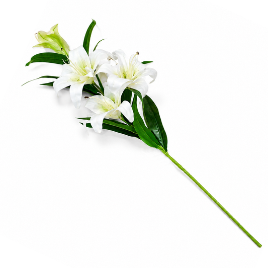 Lily White Flower Stem