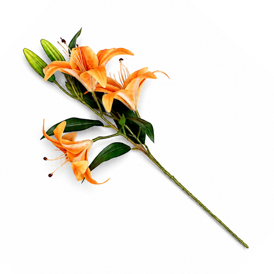 Magnolia Orange Flower Stem