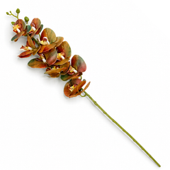 Orchid Black & Gold Flower Stem