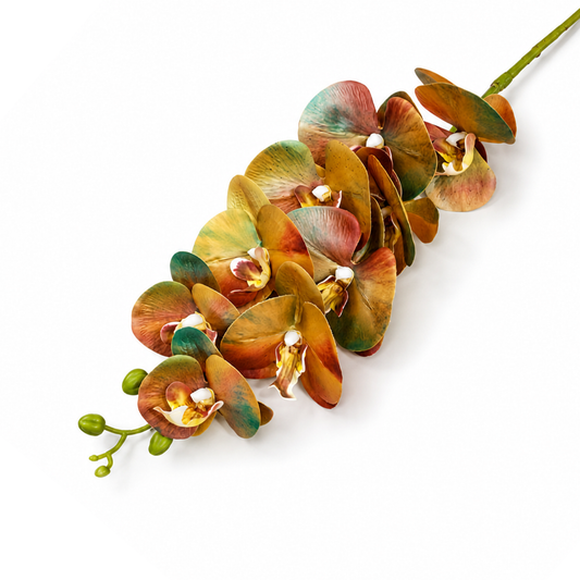 Orchid Black & Gold Flower Stem
