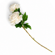 Peony Stick - Assorted