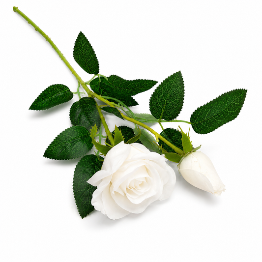 Peony White Stick