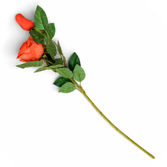 Rose Orange Stick