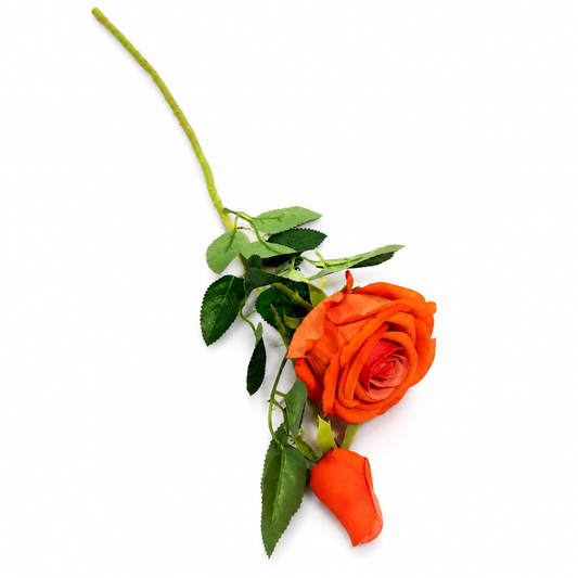 Rose Orange Stick