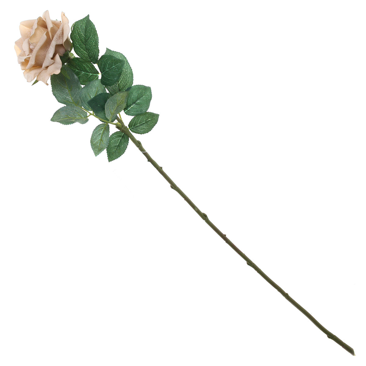 Artificial Beige Rose Flower Stem – Elegant Faux Rose for Floral Arrangements & Décor - Habitt
