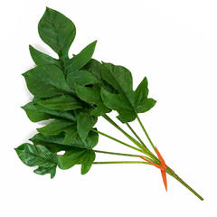 Philodendron Green Leaf Spray