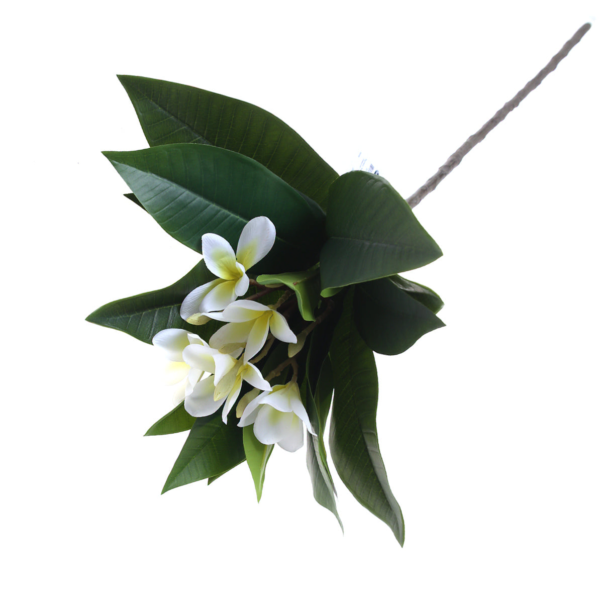 Artificial White Plumeria Flower Stem – Elegant Faux Frangipani for Floral Arrangements & Décor - Habitt