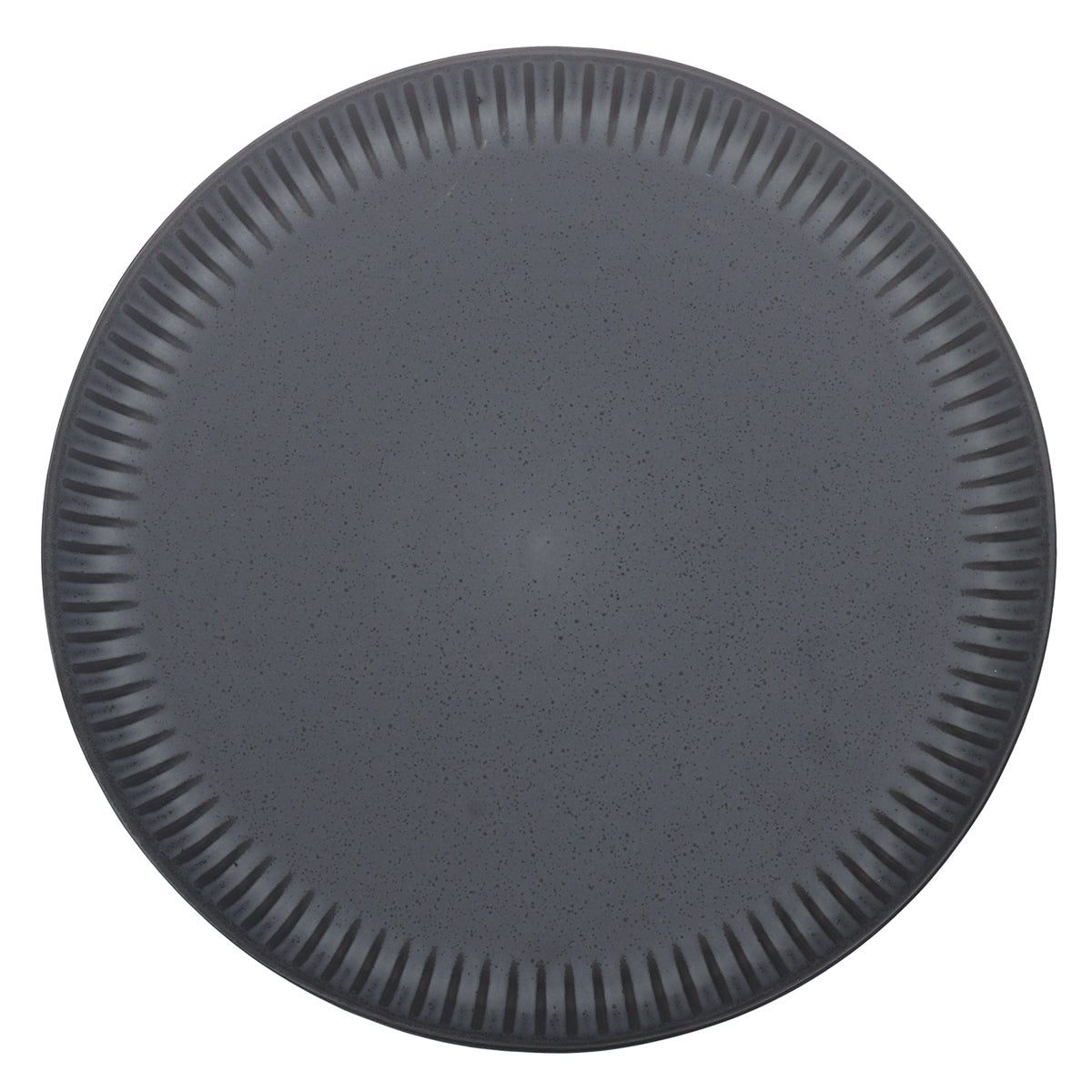 Grey Textured Rim Ceramic Dinner Plate 10.5 Inch – Contemporary Stoneware Tableware