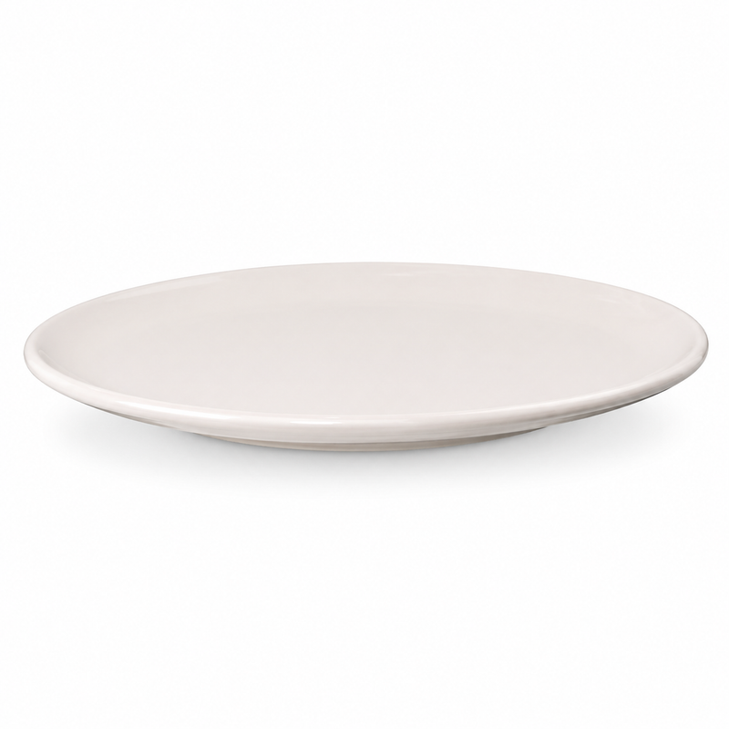 Pink Dinner Plate – 10.5 Inches