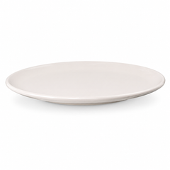Pink Dinner Plate – 10.5 Inches