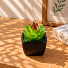 Mini Artificial Decorative Plant - Assorted