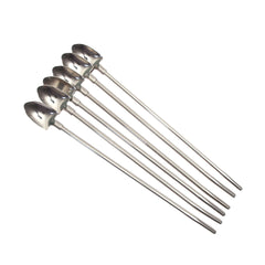 2-in-1 Stainless Steel Straw – 6 PCS Set