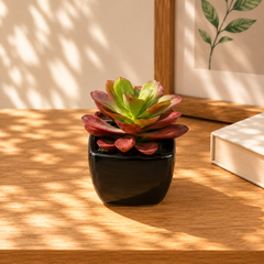 Mini Artificial Decorative Plant - Assorted