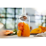 Philips ProMix Hand blender 3000 Series HR2520/01 - Habitt
