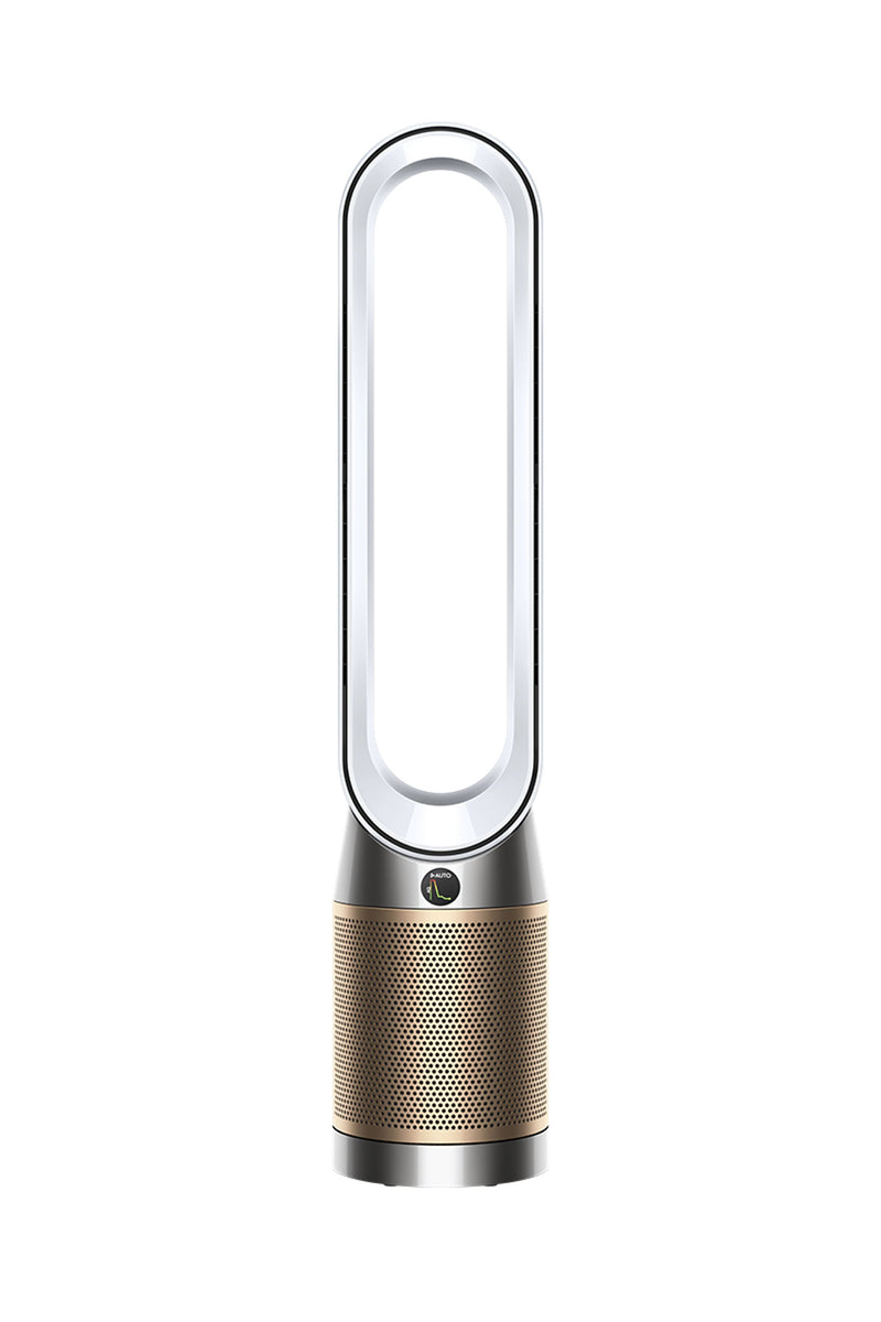 Dyson Purifier Cool PC2 De-NOx TP12