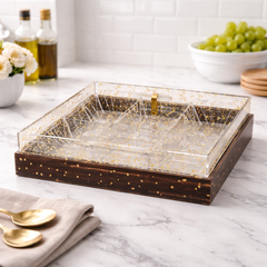 Elegant 6-Section Acrylic Fruit & Dry Fruit Serving Dish – Decorative Snack Organizer Tray - Habitt