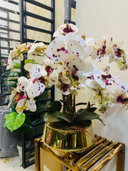 Orchids With steel Pot