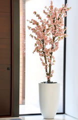 Apple blossom Tree with Planter