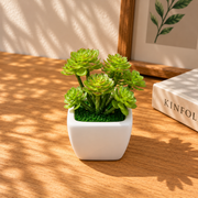 Mini Artificial Decorative Plant - Assorted