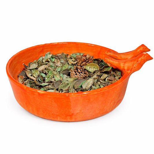 Bird Feeder Bowl – Medium Ceramic | Handcrafted Outdoor Feeding Bowl