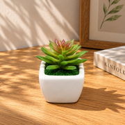 Mini Artificial Decorative Plant - Assorted