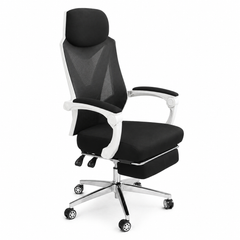 Citland Ergonomic Mesh Executive Chair – Breathable High-Back Office Chair with Headrest & Adjustable Armrests - Habitt