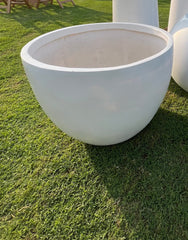 Bowl planter