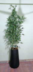 7ft Exclusive bamboo plant and planter