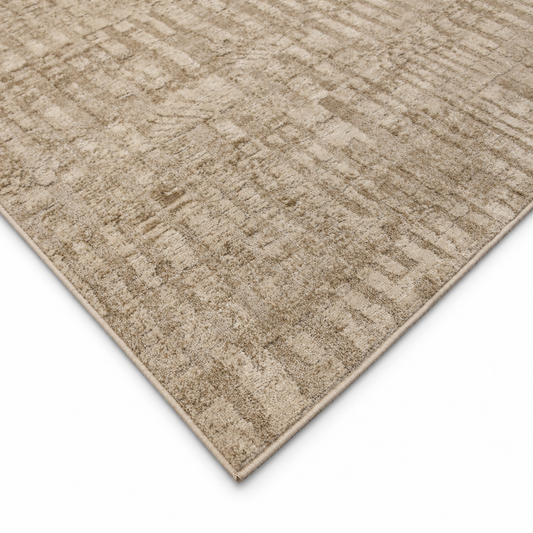 Rugs 5x8 Ft - ED63ASH_BEIGE
