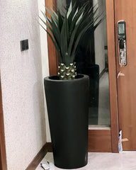 Dark green yucca plant with fiber planter